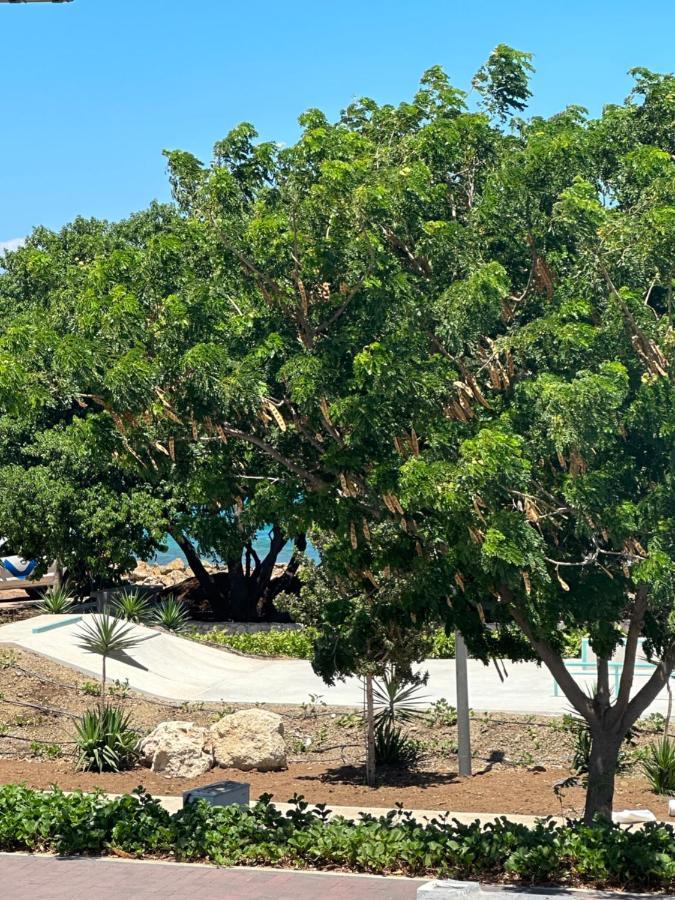 Whitehouse Boulevard, Close To Mambo Beach And City Centre Apartment Willemstad Bagian luar foto
