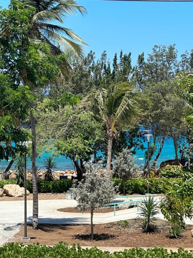 Whitehouse Boulevard, Close To Mambo Beach And City Centre Apartment Willemstad Bagian luar foto